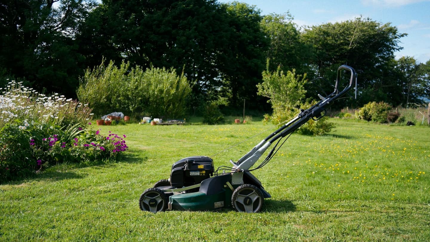 Crew mowing a residential lawn with professional equipment