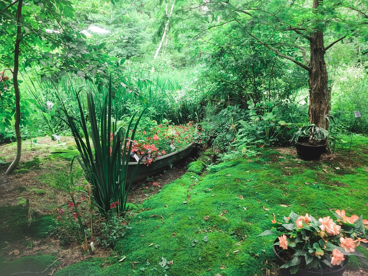 Arborist trimming branches on a residential property